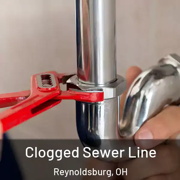  Clogged Sewer Line Reynoldsburg, OH