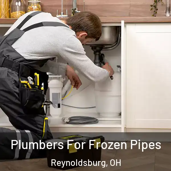  Plumbers For Frozen Pipes Reynoldsburg, OH