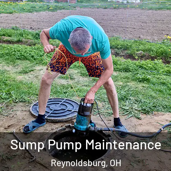  Sump Pump Maintenance Reynoldsburg, OH
