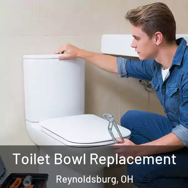  Toilet Bowl Replacement Reynoldsburg, OH