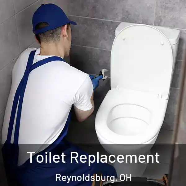  Toilet Replacement Reynoldsburg, OH